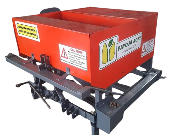 Onion Spring Cutting Machine